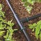 Raindrip Raindrip 1/2 in. Compression Drip Irrigation Tee 1 pk 347G00UB - alternate 3